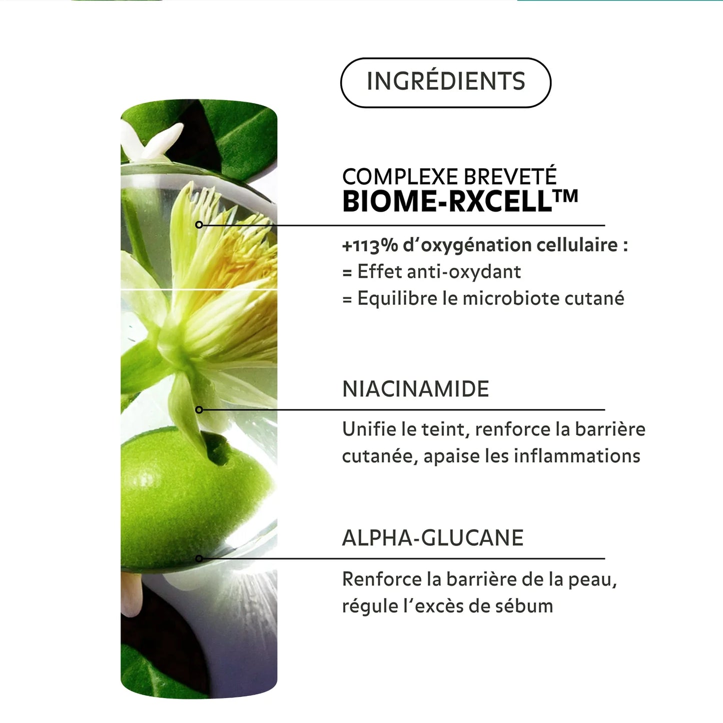 PUREALITY REFINE Sérum Perfecteur de Peau - 30ml