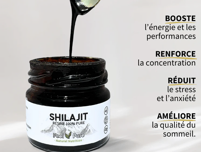 <h2>Shilajit 100% pur Authentique </h2>