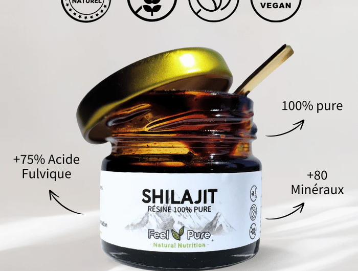 <h2>Shilajit 100% pur Authentique </h2>