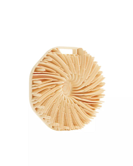 Brosse de Bain & Douche
