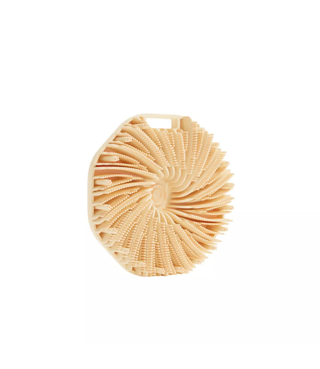 Brosse de Bain & Douche