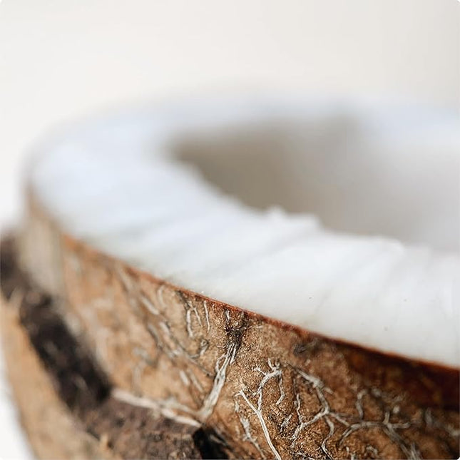 ARGANICARE Sérum ultra-nourrissant et réparateur - Cheveux ternes, très secs & frisés - Coco