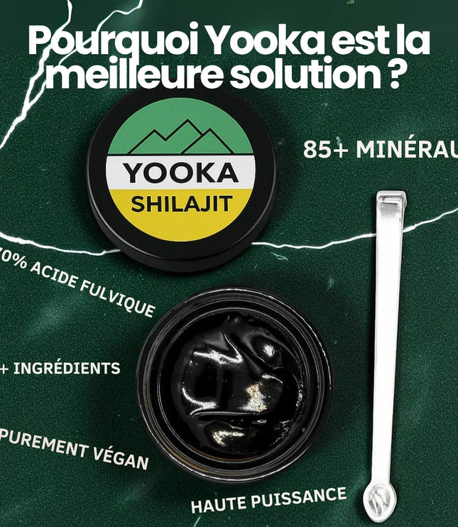 YOOKA SHILAJIT 50G